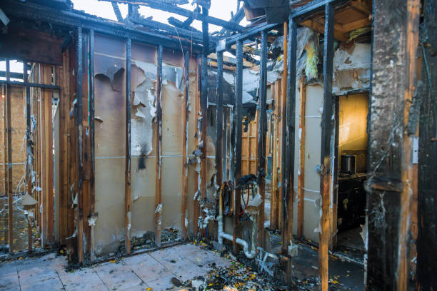 Professional Smoke Damage Removal technician working in Yorktown Heights, NY